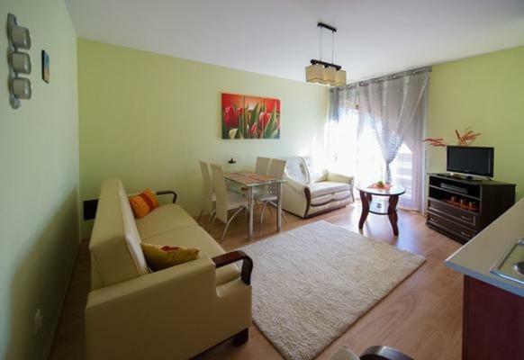 Panorama Koscielisko Apartment Zakopane Bagian luar foto